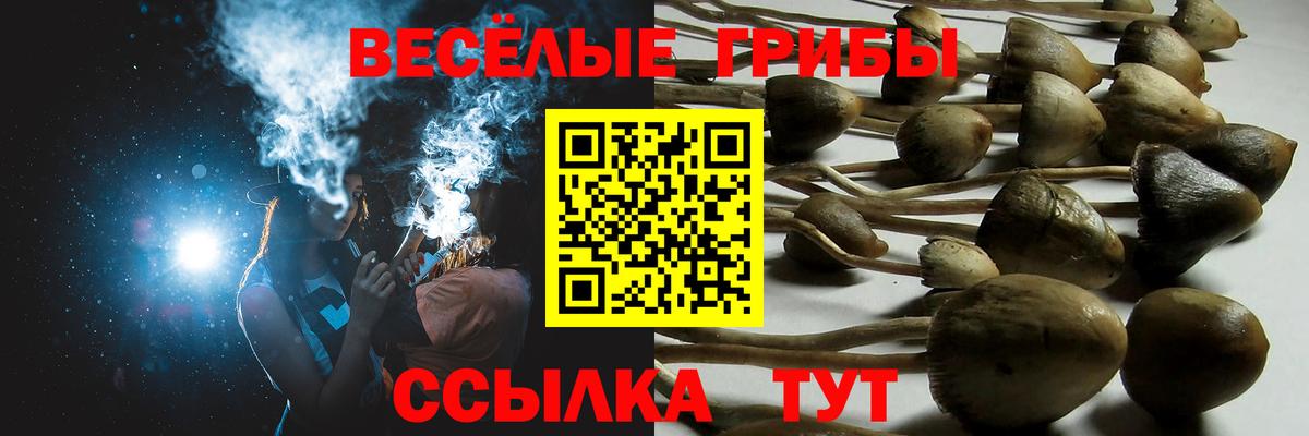Галлюциногенные грибы ЛСД Донской