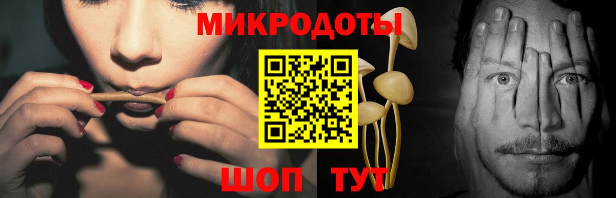 Псилоцибиновые грибы GOLDEN TEACHER  Галлюциногенные грибы Magic Shrooms  Донской  Вход с VPN 